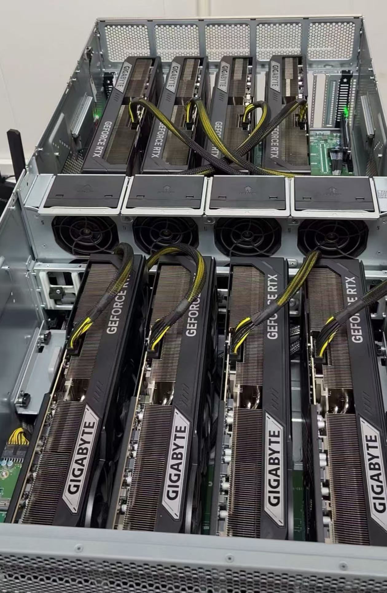 GPU server